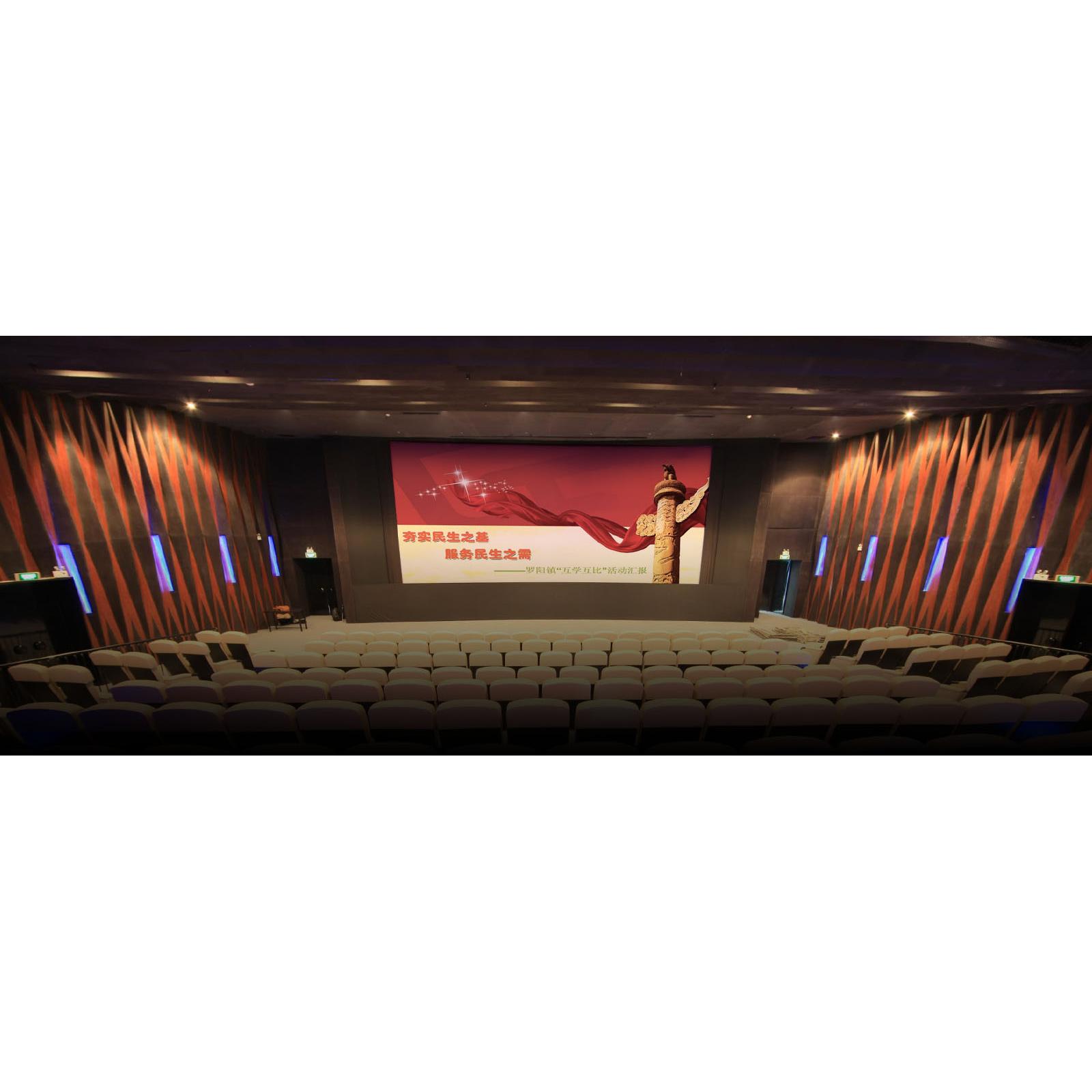 Large Cinema/Theate Field Screen
